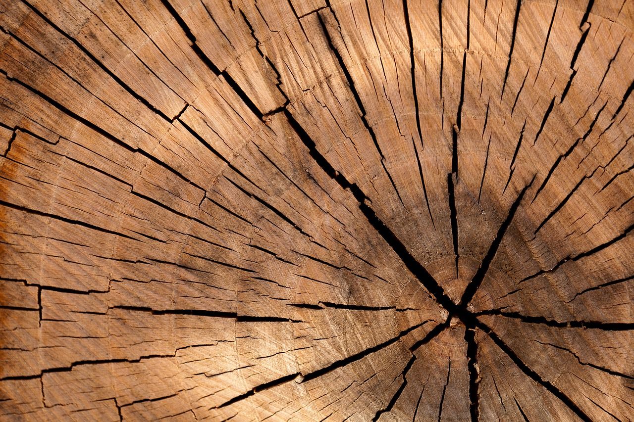 Drewniane konstrukcje - alternatywa dla tradycyjnych budowli